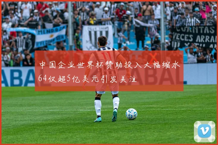 中国企业世界杯赞助投入大幅缩水64仅超5亿美元引发关注