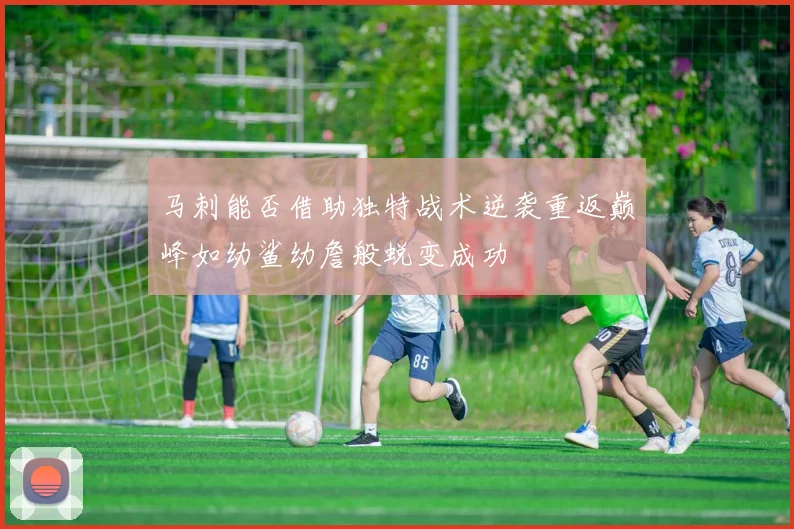 马刺能否借助独特战术逆袭重返巅峰如幼鲨幼詹般蜕变成功