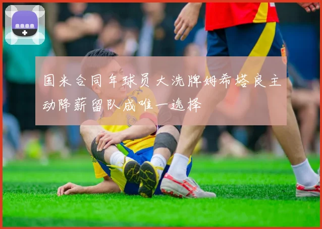 国米合同年球员大洗牌姆希塔良主动降薪留队成唯一选择